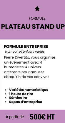 Formule entreprise, tarif plateaux de stand up, 4 humoristes pour vous, organisé par Pierre Divertito, pau, toulouse, pays basque